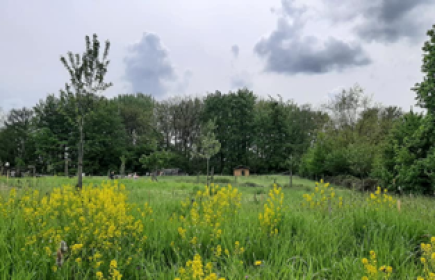 NatuurTalent : de natuur als speelkameraad
